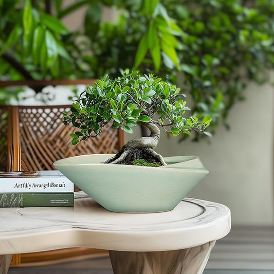 Bonsai Pot - 12 Inch Ceramic Planter Pot with Drainage Hole Large Modern Planter Decorative Glazed Succulent Plant Pot for Indoor Outdoor Plants Green