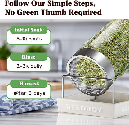 Seedboy Organic Non-GMO Sprouting Seeds, Immune System Booster - USA Grown Microgreens Mix with Broccoli, Purple Radish, Alfalfa - 8 oz Bag Makes 8 Quarts / 24 Servings (Immune System Booster Blend)