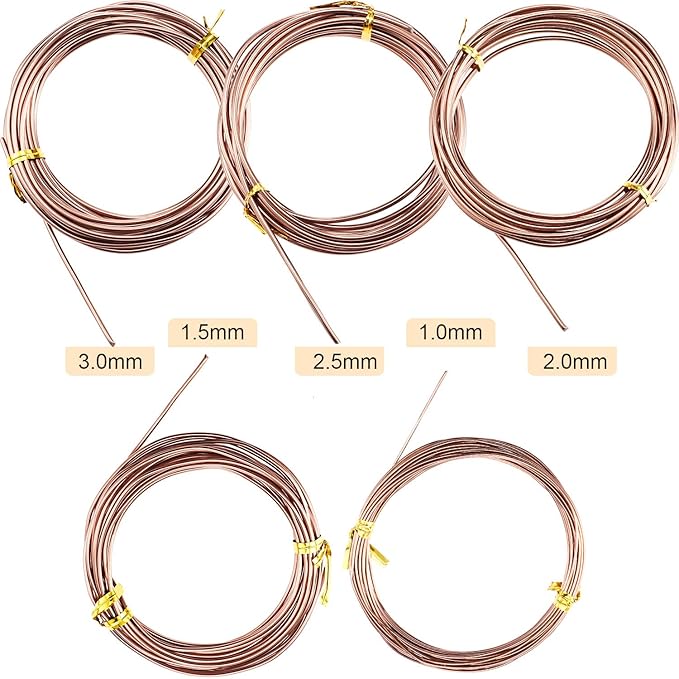 Hotop 10 Rolls Bonsai Wires Anodized Aluminum Bonsai Training Wire in 5 Sizes - 1.0 mm, 1.5 mm, 2.0 mm, 2.5 mm, 3.0 mm, Total 164 Feet (Brown)