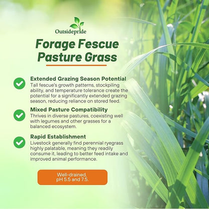 Outsidepride Forage Tall Fescue Grass Seeds - 25 lb. Perennial, Drought-Tolerant & Easy to Grow, Pasture Seeds for Planting Soft & Abundant Grass, Great for Grazing Livestock & Hay Production
