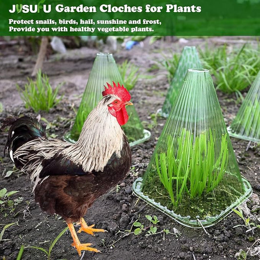 Garden Cloches for Plants,20 Pack Plant Covers Reusable Plant Bell Cover Protects Plants from Birds, Frost,Snails Etc.