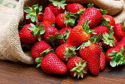 Mountain Jewels Strawberry Plants - Grow Giant Strawberries - Bare Root Plants for Growing (30 Plants)
