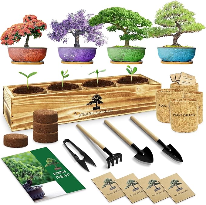 Bonsai Tree Kit, Complete Bonzai Tree Starter Kits with Tools, Unique DIY Gardening Gifts for Mom Women Men, Crafts Hobby Kits, Grow Bonsai Tree Live Indoor