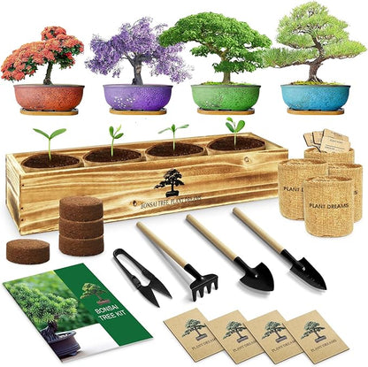 Bonsai Tree Kit, Complete Bonzai Tree Starter Kits with Tools, Unique DIY Gardening Gifts for Mom Women Men, Crafts Hobby Kits, Grow Bonsai Tree Live Indoor
