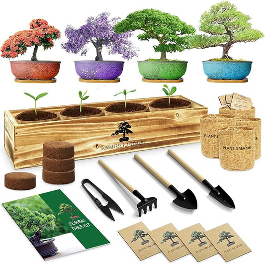 Bonsai Tree Kit, Complete Bonzai Tree Starter Kits with Tools, Unique DIY Gardening Gifts for Mom Women Men, Crafts Hobby Kits, Grow Bonsai Tree Live Indoor