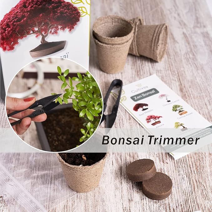 JINJIAN Bonsai Pruning Scissors 12PCS - Small Pruner Shears Bud Leaves Trimmer Garden Shears for Plants, Gardening Clippers for Flower Bonsai Trimming Pruners Trimmers Secateurs(BLACK)