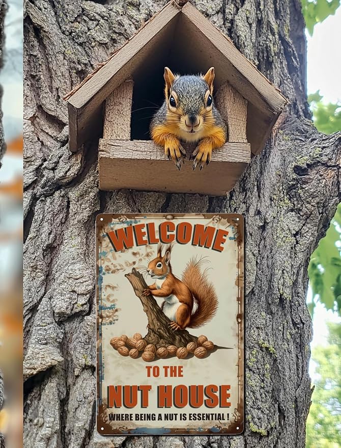 Funny Squirrels Signs Welcome To The Nut House Squirrels Stuff For Indoor Outdoor Decor 12x8 Inches (Orange)