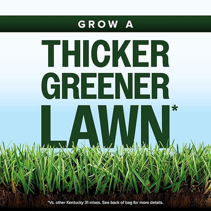 Scotts Kentucky 31 Grass Seed Mix for New Lawns or Overseeding, Grows Thicker and Greener vs. Other Kentucky 31 Mixes, Covers up to 5,000 sq. ft.