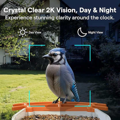 BirdsView Bird Feeder with 2K Ai Camera, Solar Panel, Hummingbird Feeder, Bird House, Live Alerts & Species Recognition – Ideal for Bird Lovers