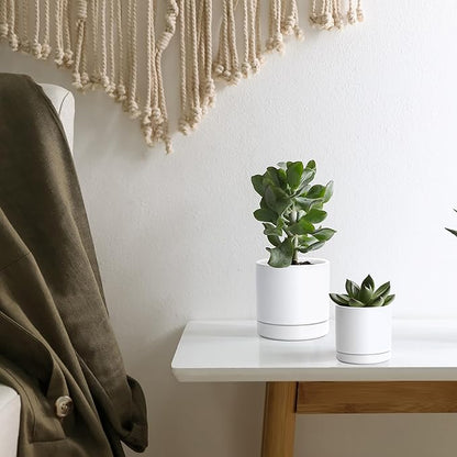 D'vine Dev 3.5 Inch & 4.7 Inch Ceramic Planter Pots for Plants with Drainage Hole and Saucer, X-Small Plant Pots Set, White, 94-G-XS-1