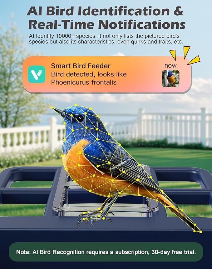 Smart Bird Feeder with Camera Solar Powered, 2.5K Live Video Bird House Camera, AI Identifies, Auto Capture & Notify, Motion Detection, Cloud Storage, Color Night Vision, Ideal Gift for Bird Watching