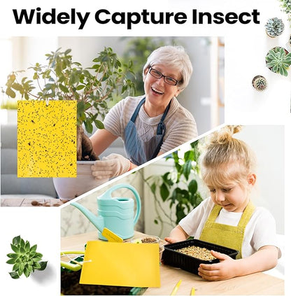 Qualirey 200 Pcs 6 x 8 Inch Sticky Traps for Gnats Dual Sided Fruit Fly Sticky Traps for Indoor and Outdoor Plant with Twist Ties and Plastic Holders for Flying Plant Insect, Fungus Gnats (Yellow)