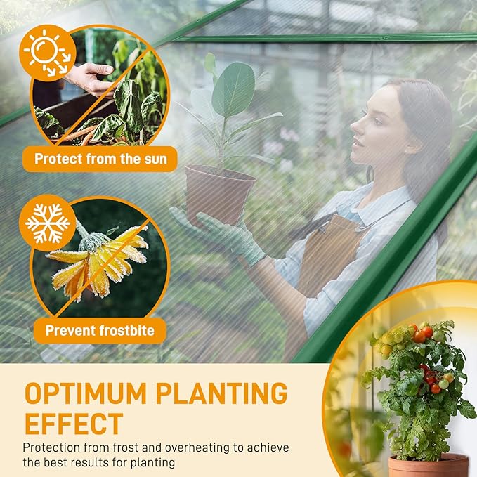 VINGLI 6x10 FT Greenhouse for Outdoors, Twin-Wall Translucent Heavy Duty Polycarbonate Greenhouse Kit with 5 Roof Vents, Weather Resistance for Plants Protection, for Home Gardening (Green, 6x10 FT)