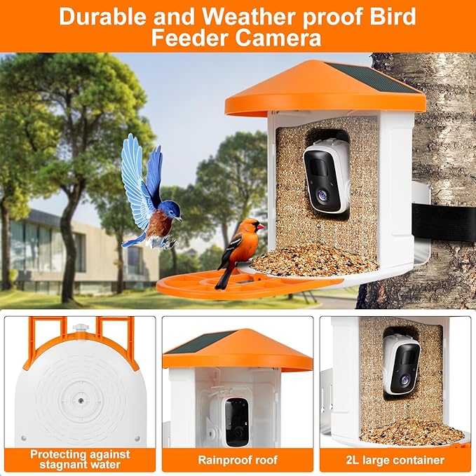 DCT Smart Bird Feeder with Camera - 1080P HD Camera Feeders for Outside, AI Bird Identify, Squirrel-Proof, Ideal Gifts for Lovers & Elderly, Wireless WiFi