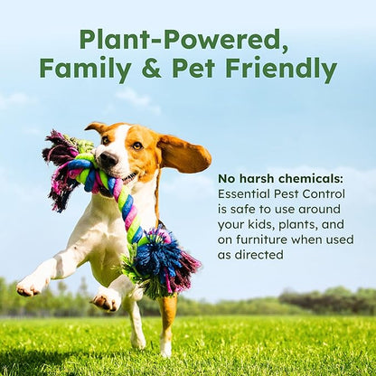 BugMD Ant Killer & Bug Spray Concentrate - Indoor Cockroach and Roach Killer, Spider Spray for Home, Fly and Insect Defense, Essential Oils, Plant-Powered, Eco-Friendly Pest Control - 3.7 Oz