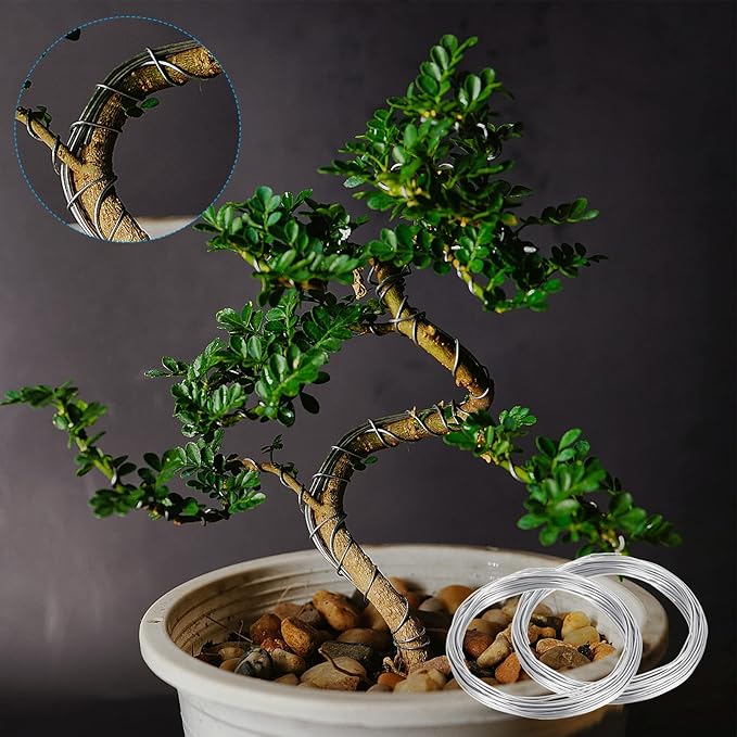 PATIKIL 1.5mm Bonsai Training Wire, 2 Rolls Floral Wire Stems Anodized Aluminum Tree Wire 65.6 Feet Total for Gardening Branch Fixing, Black