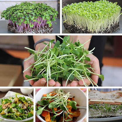 Micro-Mats Hydroponic Grow Pads - for Organic Production - 10 Pack - Plant & Seed Germination: Wheatgrass, Microgreens, More - for 20" x 10" Greenhouse Trays