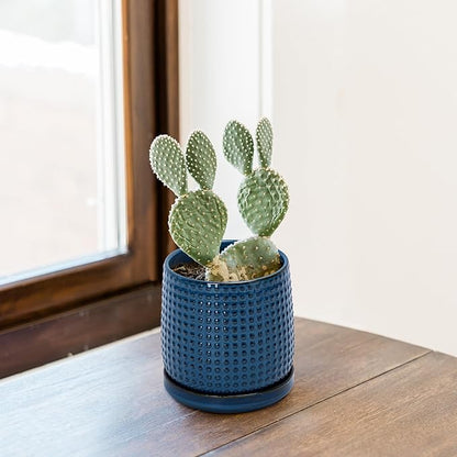 D'vine Dev Set of 2 Ceramic Plants Pots, 4 Inch Beaded Stoneware Flower Pot for Plants with Drainage Hole and Saucer, Midnight Blue, 27-E-Z-3