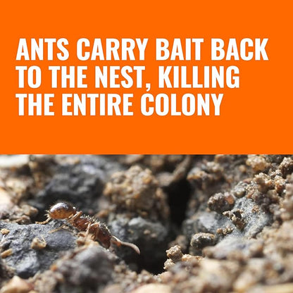 TERRO Liquid Ant Baits - T1813B - Outdoor Ready-to-Use Terro Ant Traps, Kills Household Ants, 12 Stakes