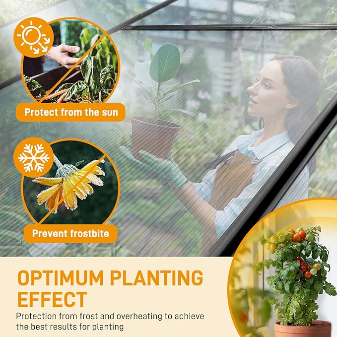 VINGLI 6x10 FT Greenhouse for Outdoors, Twin-Wall Translucent Heavy Duty Polycarbonate Greenhouse Kit with 5 Roof Vents, Weather Resistance for Plants Protection, for Home Gardening (Black, 6x10 FT)