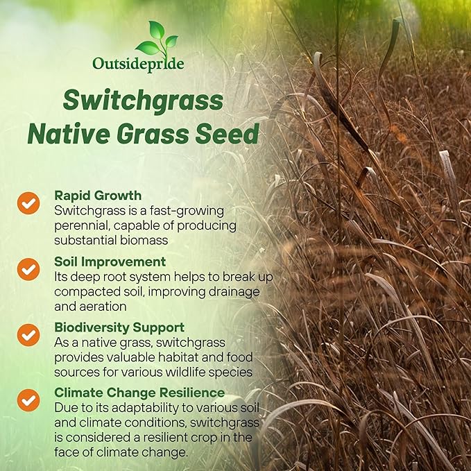Outsidepride Switchgrass Seed - 25 lbs. Perennial Hardy, Drought & Flood Tolerant Native Grass Seed Ideal Fast-Growing Grasses for Erosion Control, Wildlife Forage & Food Plots, Thrives in Poor Soil