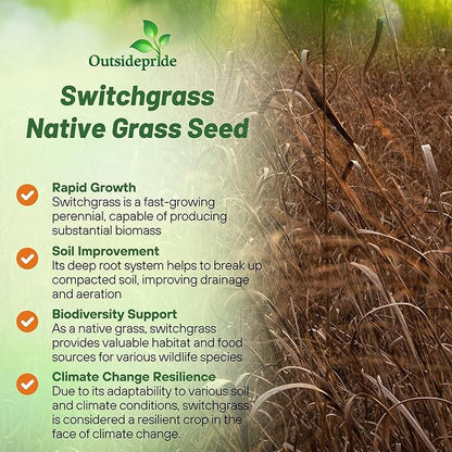 Outsidepride Switchgrass Seed - 5 lbs. Perennial Hardy, Drought & Flood Tolerant Native Grass Seed Ideal Fast-Growing Grasses for Erosion Control, Wildlife Forage & Food Plots, Thrives in Poor Soil