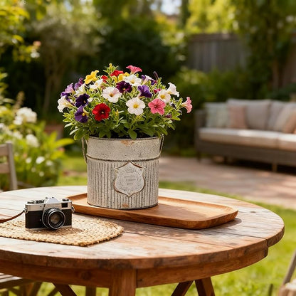 Vintage Galvanized Metal Planter Pots Set of 2, Rustic Farmhouse Flower Pots with Handles, "Potager A Paris 1903" Decorative Planters for Indoor Outdoor Gardening, Succulents, Herbs, Home Decor