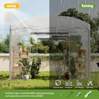 AMERLIFE 10×10×8.5 FT Pop-up Greenhouses for Outdoors Indoor with Adjustable Sturdy Frame, Portable Walk in Greenhouse with 2 Roll-up Zipper Doors, Windows and PE Cover, White