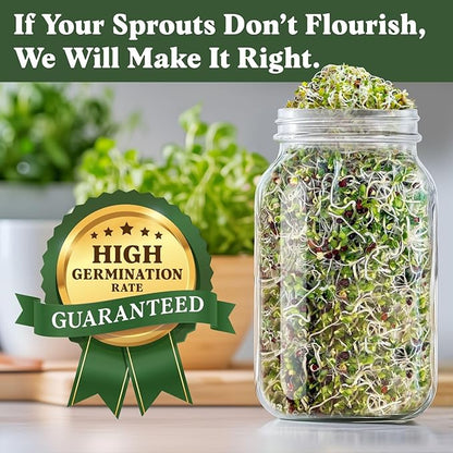 Seedboy Organic Non-GMO Broccoli Seeds for Sprouting - USA Grown Microgreens Sprouting Seeds - 8 oz Bag Makes 8 Quarts / 24 Servings (Di Cicco Broccoli)