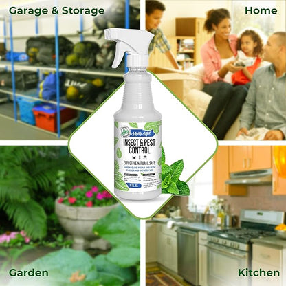 Mighty Mint Peppermint Oil Insect Repellent Spray – Natural Indoor & Outdoor Bug Control for Spiders, Ants, Roaches, and More – Plant-Based, Extra-Strong Formula - 16 oz