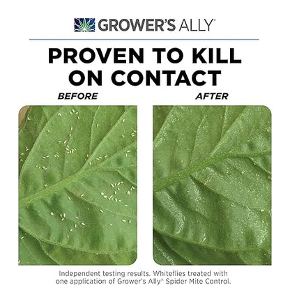 Grower's Ally Spider Mite Control Spray Ready to Use 24 oz | Natural Spider Mite & Insect Killer with Rosemary Oil - Trusted by Cultivators for Indoor and Outdoor Use, OMRI Listed