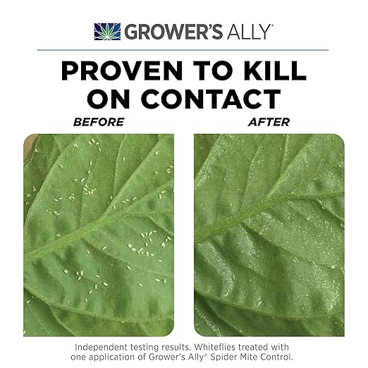 Grower's Ally Spider Mite Control Spray Ready to Use 24 oz | Natural Spider Mite & Insect Killer with Rosemary Oil - Trusted by Cultivators for Indoor and Outdoor Use, OMRI Listed