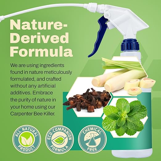 All-Natural Foaming Bee Spray Killer Outdoor - Carpenter Insect Bee Spray Killer - Reliable Defense for All Kinds of Insects, 16 oz