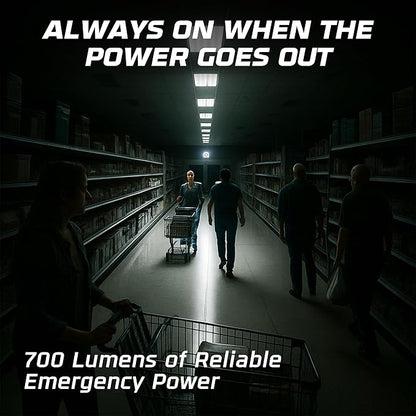 OHLECTRIC Emergency Ballast Replacement for PS600QD MVOLT - 700 Lumen Output - 90-Minute Backup for T5, T8, T12 & CFL Lamps | 120/277V Input