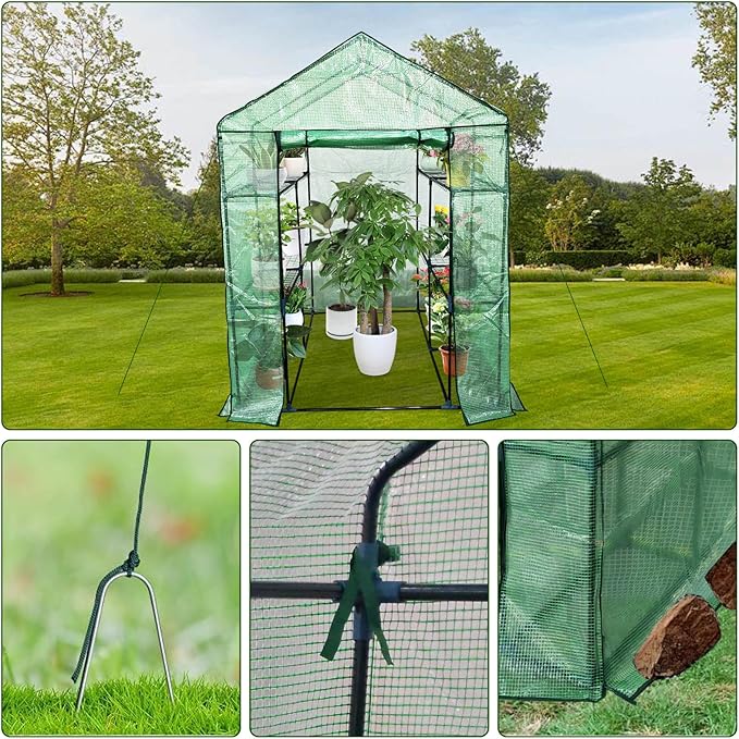 Greenhouse for Outdoors,Walk in 3-Tier 6 Shelves Green House w/ Roll-Up Zippered Door Anchors and Ropes,Waterproof & UV Protected Plant Garden Hot House for Garden Patio Backyard,57 x 57 x 76''