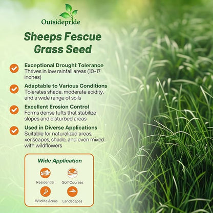 Outsidepride Sheeps Fine Fescue Grass Seed - 5 Lbs. Perennial Heat & Drought Tolerant Dense Green, Traffic-Resistant Turf for Shaded Environments w/OptiGrowth Coating for Seed Enhancement
