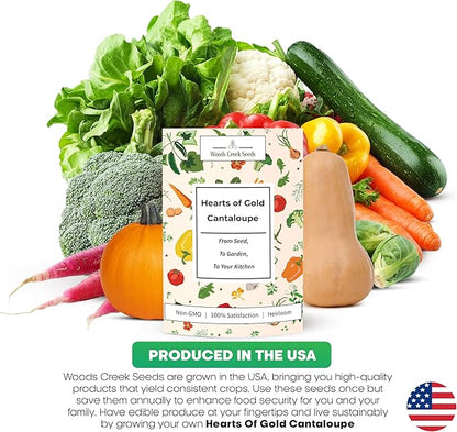 Woods Creek Seeds: Hearts of Gold Cantaloupe Melon Seeds for Planting - Over 90 Heirloom Non-GMO Cantaloupe Seeds for Planting - Beginner Friendly Fruit Seeds for Home Gardening