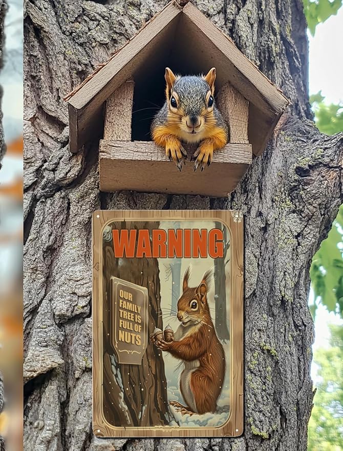 Funny Squirrels Signs Welcome To The Nut House Squirrels Stuff For Indoor Outdoor Decor 12x8 Inches Our Family Tree Is Full Of Nuts