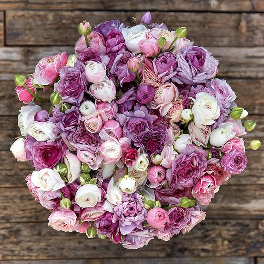 Eden Brothers Ranunculus Bulbs - Secret Garden Mix