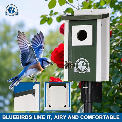 Bird Houses for Outside, Dark Green Bird House, Bluebird Houses for Outside, Garden Decoration Birdhouses for Outdoors, Bluebird Finch Swallow Wren Chickadee