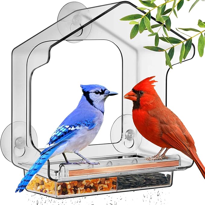 LUJII All One Piece Window Bird Feeder with Strongest Suction Cups, All One Piece No Glue, Lift-Out Tray with Drainage Holes, Large Enough for Larger Birds Like Cardinal or Mocking Birds, Clear
