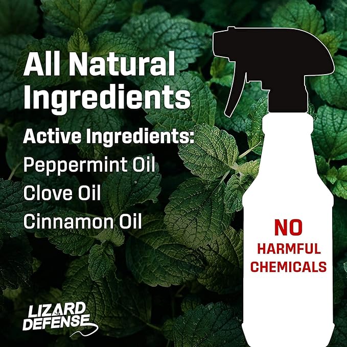Exterminators Choice Peppermint Oil Defense Spray for Lizards & Bugs - 32 Fl Oz, Peppermint Scent Oil - Exterminator Spray Formula for Home & Garden - Indoor & Outdoor Use