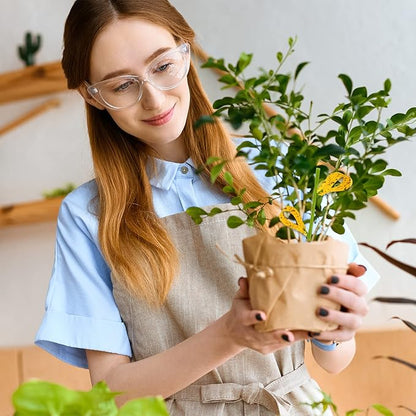 90PCS Yellow Sticky Traps for Indoors/Outdoor Gnat Traps for Plants Fungus Gnats Sticky Traps for Whiteflies Mosquitoes Fruitflies Thrips Aphids... Stake Holders Included Dual-Sided