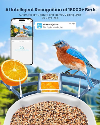 Bird Feeder with Camera, AI Identify Bird's Species Camera, Full HD Live Video Outdoor Adjustable Solar Smart Birds Feeder, Auto Capture Birds Videos & Notify, Ideal Present for Bird Lover