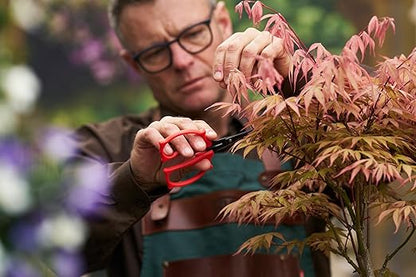 Felco 420 Trimming Scissors – 6.1" Swiss-Made Garden Clippers with Fine Tip & Non-Stick Blade | Pruning Shears for Gardening | Garden Scissors for Plant with Stainless Steel Blade, Built-In Ruler