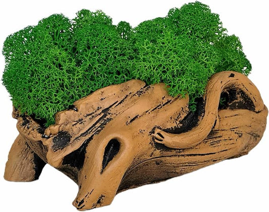 Moss Centerpiece 6in, Handmade Artificial Bonsai with Real Moss, No Maintenance