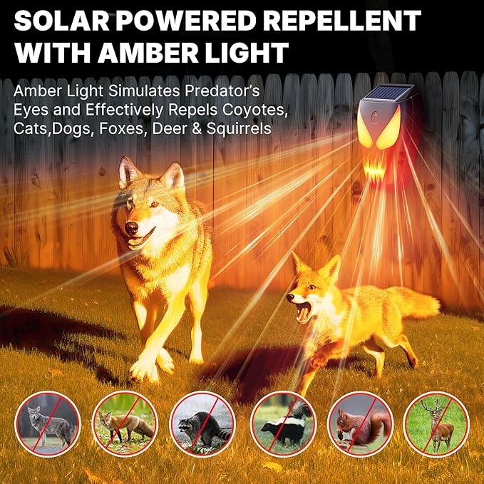 Solar Nocturnal Animal Repeller 1 Pack - Coyote, Raccoon, Fox, Skunk, Deer, Hawk Outdoor Repellent Deterrent - Amber LED & Waterproof Predator Lights for Chicken Coop,Farm,Yard,Garden - Halloween