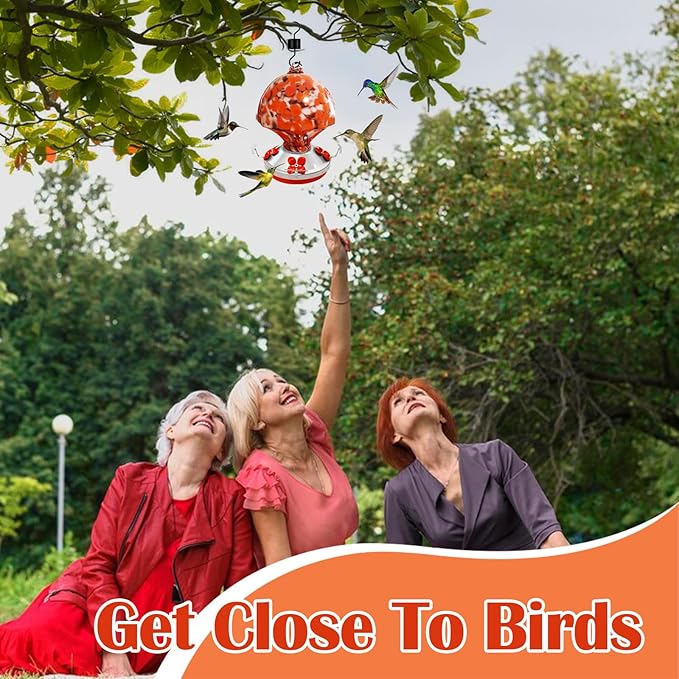 Hand Blown Glass Hummingbird Feeder with Ant Moat 25.4 OZ Large Capacity Hanging Bird Feeder for Backyard Garden Outdoors Decorations Hook Brush Rope Included (Red)