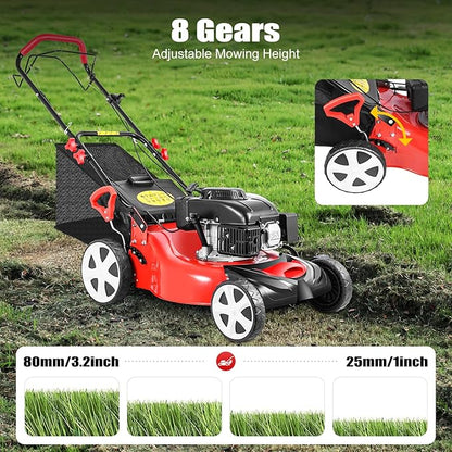 5Hp 4 Stroke Gas Push Lawn Mower, Self-Propelled Gas Powered Lawn Mower with Bagger, 20-inch & 140CC Gas Mower, 8 Adjustable Heights for Small to Medium Sized Yards