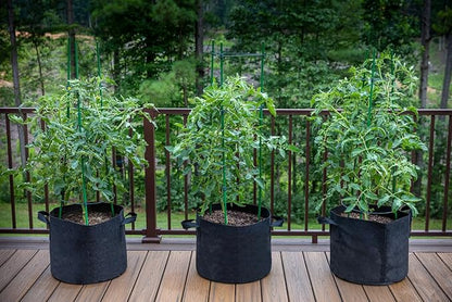 Gardzen 10-Pack 2 Gallon Grow Bags, Aeration Fabric Pots with Handles, Heavy Duty Cloth Pots for Plants